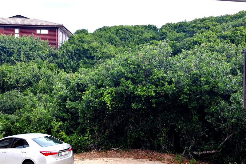 0 Bedroom Property for Sale in Dwarswegstrand Western Cape